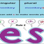 Aao English seekhien, plurals in Urdu L 33