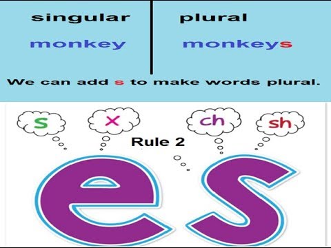 Aao English seekhien, plurals in Urdu L 33