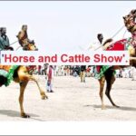 Aao English seekhien, Story “Horse and cattle show” in Urdu L 70