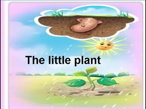 Aao English seekhien, English poem the little plant in Urdu L 98
