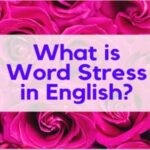 9th class English unit 6.12, English grammar, What is word stress