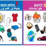 Aao English seekhien, needs and wants in Urdu L 72