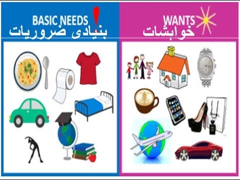 Aao English seekhien, needs and wants in Urdu L 72