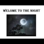 Pakistan home school/English class 4/PTB/poem/welcome to night Lesson 2 in Urdu