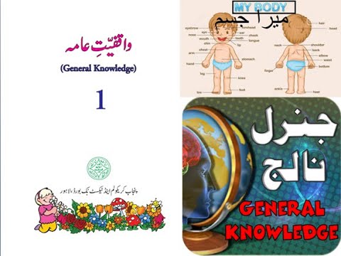 Urdu Maloomat e Amma for Kids L 8, My Body  میرا جسم