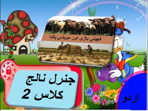 General knowledge in Urdu for kids grade 2 L 15, Agriculture and cattle farming,  کھیتی باڑی اور مویشی پالنا