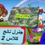 General knowledge in Urdu for kids grade 2 L 17b, Importance of Forests,  جنگلات کی اہمیت