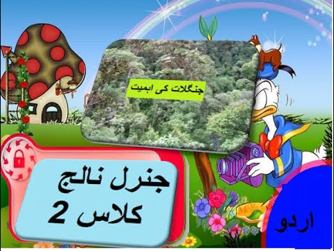 General knowledge in Urdu for kids grade 2 L 17b, Importance of Forests,  جنگلات کی اہمیت