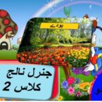 General knowledge in Urdu for kids grade 2 L 21, Plants,  پودے