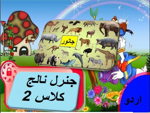 General knowledge in Urdu for kids grade 2 L 22, Animals, جانور