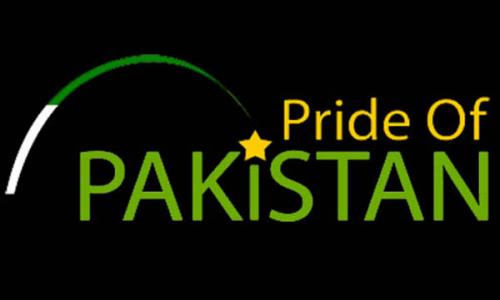 English class 4/The pride of Pakistan/Word meaning