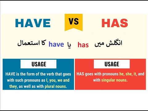 Learn English class 4, Mariam’s tenth birthday, Comprehension 4. has vs have