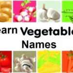 Learn english through urdu, vegetables names in english with pictures