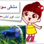 Learn Urdu for kids class 4, Amna and Neeli Muchali Questions sabaq 2