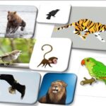Learn urdu for kids class 4, Animal names
