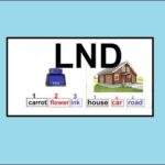 LND English Lesson 3