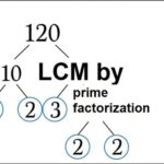 Learn basic Math in Urdu Grade 5 L 12, Learn (LCM) by Prime factorization method