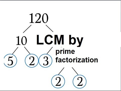 Learn basic Math in Urdu Grade 5 L 12, Learn (LCM) by Prime factorization method