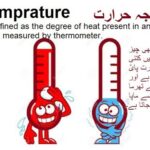 Learn basic Math in Urdu Grade 5 L 61, Measuring Temperature