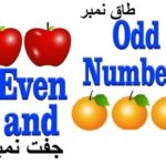 Math class 3 L 10, Even and odd numbers in Urdu