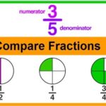 Learn basic concept of math in Urdu, Grade 3 L 43, Fractions Examples