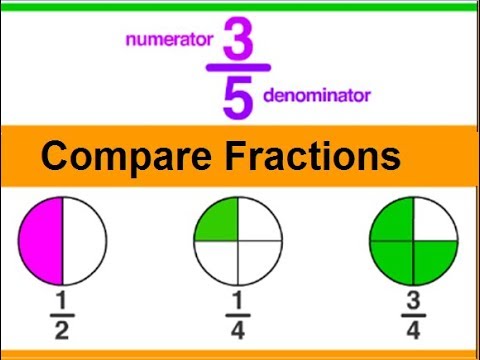 Learn basic concept of math in Urdu, Grade 3 L 43, Fractions Examples