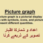 Learn basic concept of math in Urdu, Grade 3 L 50, Picture graphs