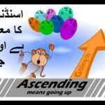 Math class 3 L 8, ascending and descending order in Urdu