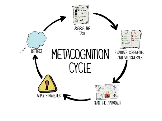 Metacognition skills