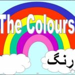 Preschool English,  Colors & Fruits Names in Urdu