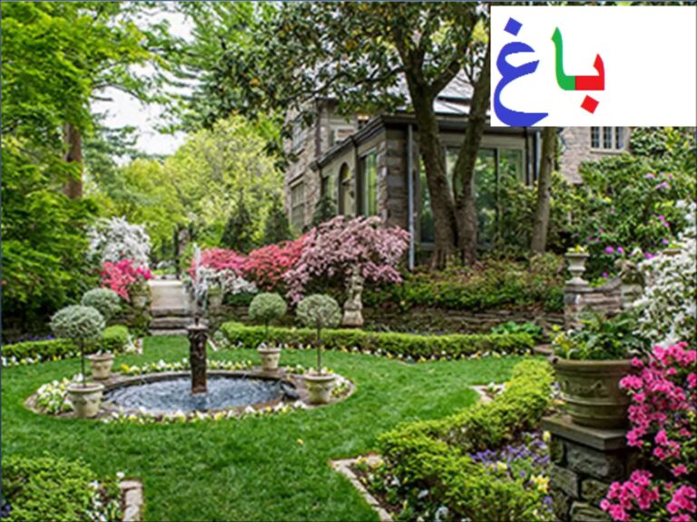 Aao Urdu Seekhein : Learn Urdu For Beginners And Kids