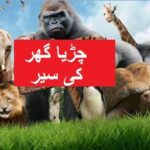 Aao Urdu seekhein, Grade 3 L 13, Visit to Zoo,  چڑیا گھر کی سیر