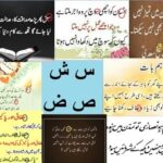 Aao Urdu Seekhein, Learn Urdu For Beginners And Kids L 17